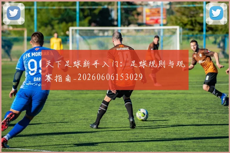 天下足球新手入门：足球规则与观赛指南_20260606153029