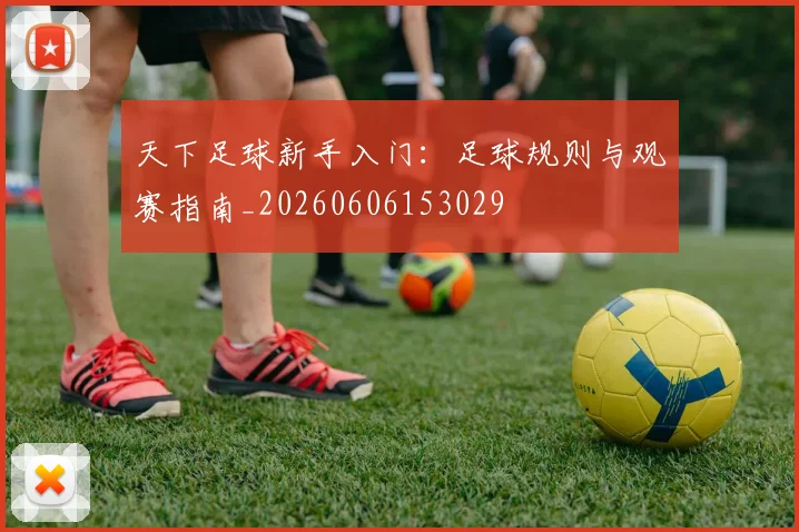 天下足球新手入门：足球规则与观赛指南_20260606153029