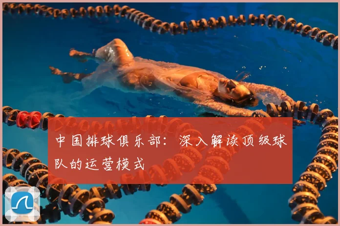 中国排球俱乐部：深入解读顶级球队的运营模式